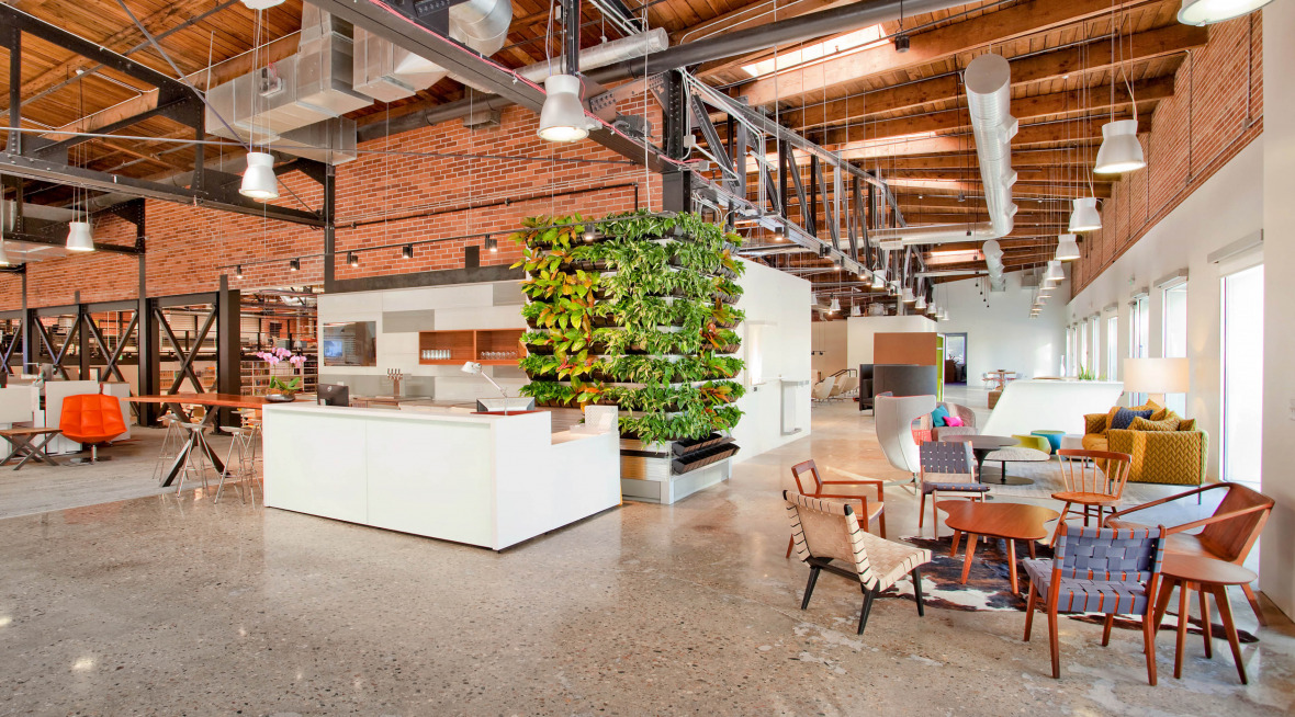 Biophilic Design