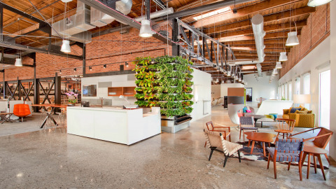 Biophilic Design
