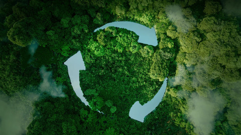 Aerial view of a dense forest with a recycled water symbol overlay, representing sustainability and environmental conservation.